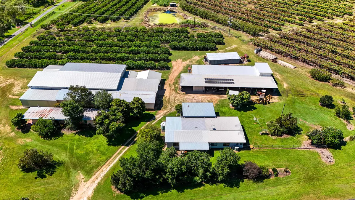 119 McLeod Road, Mutchilba, QLD, Mutchilba - Thumbnail 7