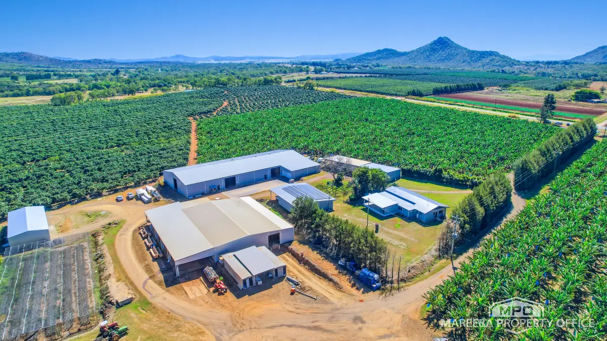 737 Channel Road, Walkamin, QLD, Walkamin - Image 1