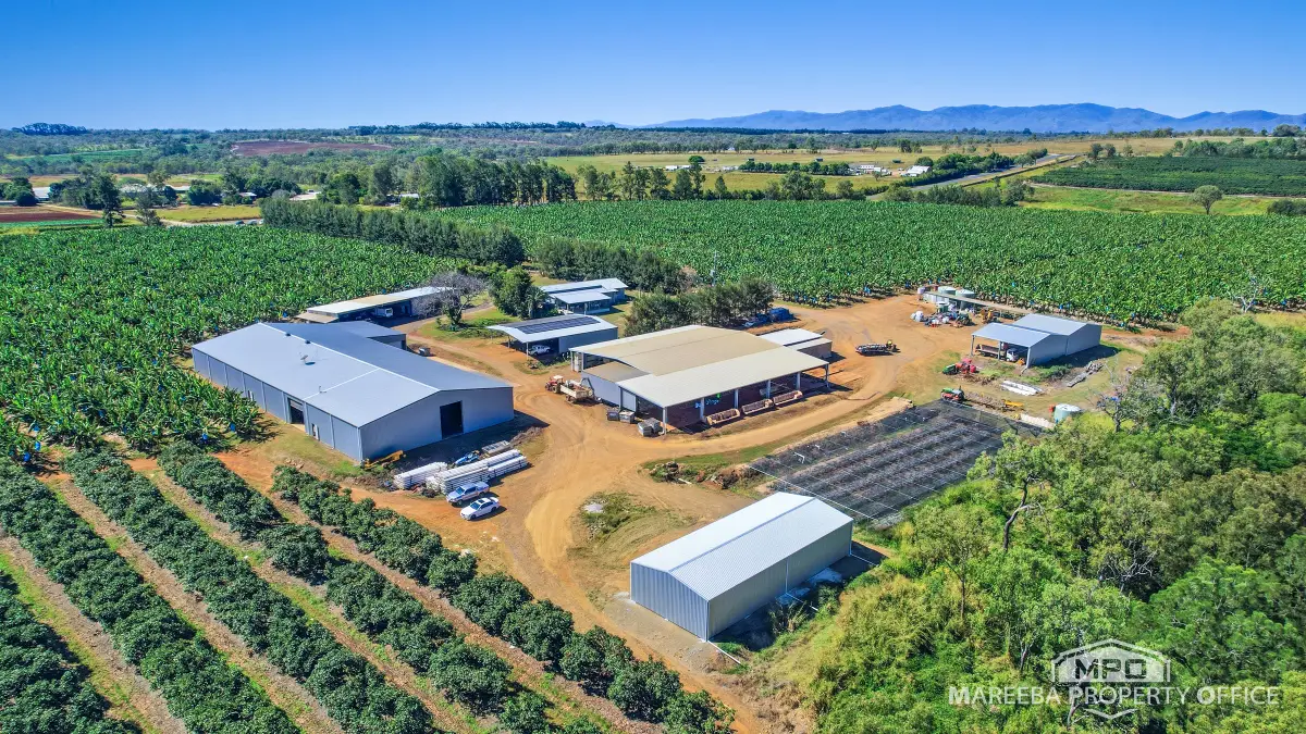 737 Channel Road, Walkamin, QLD, Walkamin - Thumbnail 3
