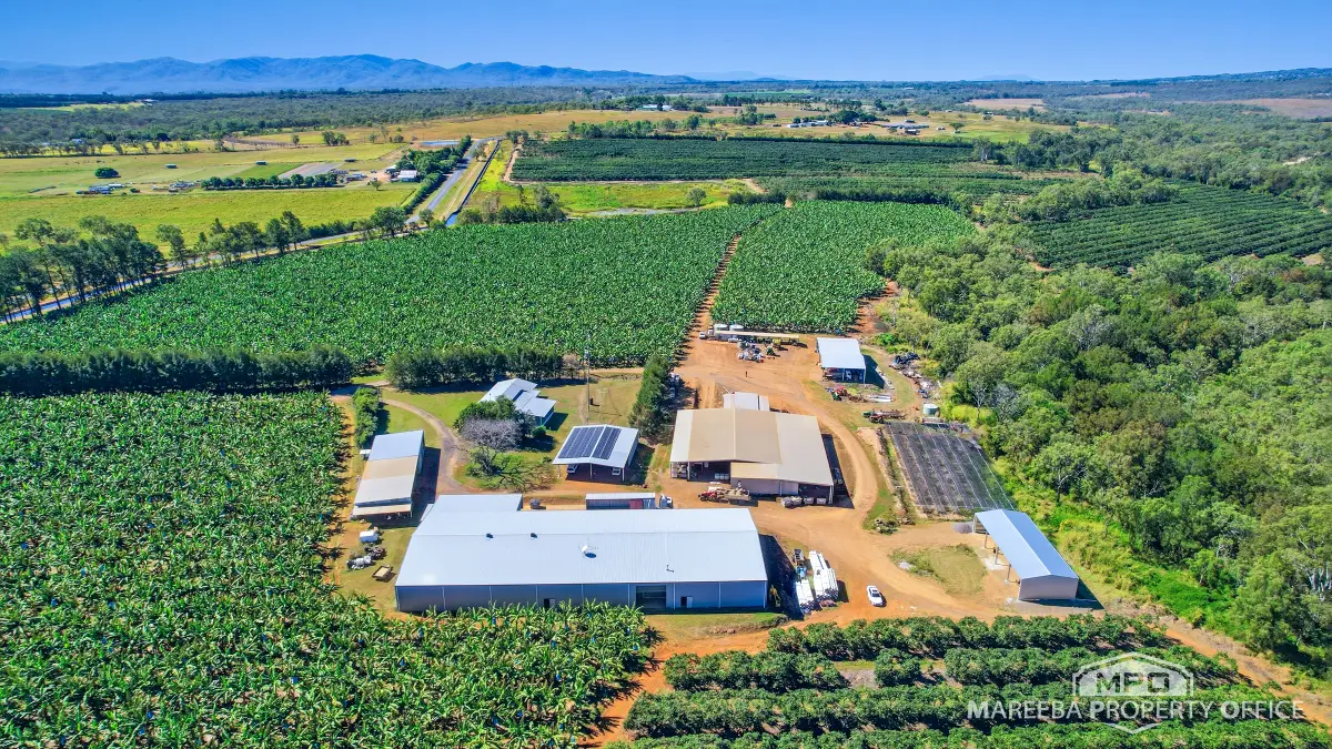 737 Channel Road, Walkamin, QLD, Walkamin - Thumbnail 5