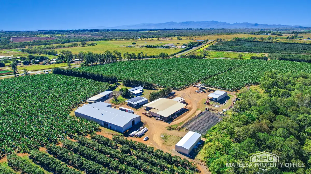 737 Channel Road, Walkamin, QLD, Walkamin - Thumbnail 7