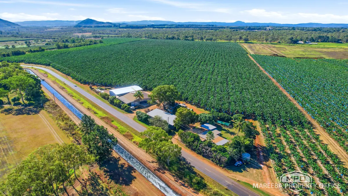 292 Channel Road, Walkamin, QLD, Walkamin - Image 1