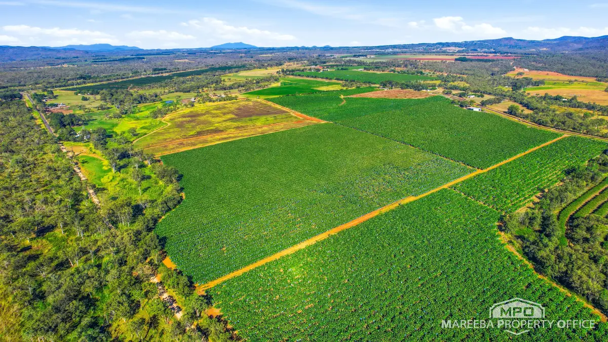 292 Channel Road, Walkamin, QLD, Walkamin - Thumbnail 3