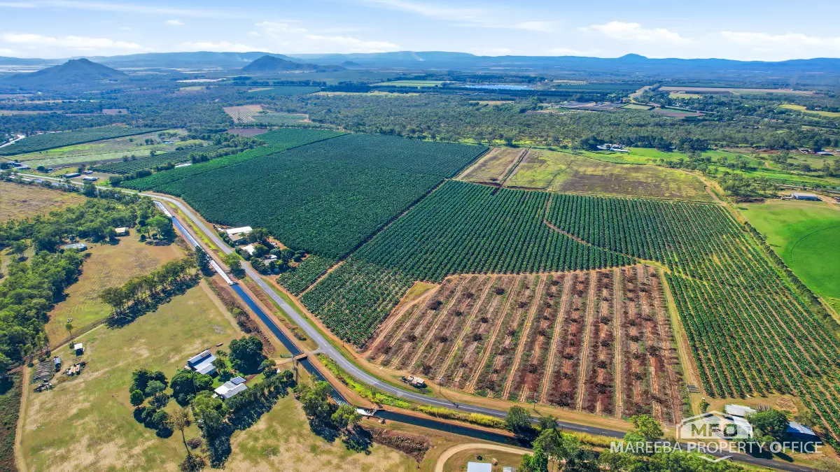 292 Channel Road, Walkamin, QLD, Walkamin - Thumbnail 4