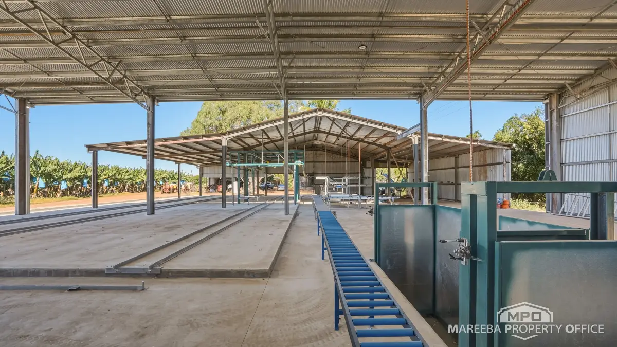 292 Channel Road, Walkamin, QLD, Walkamin - Thumbnail 6
