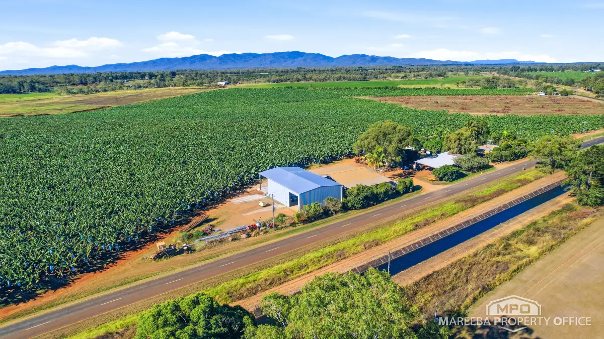 292 Channel Road, Walkamin, QLD, Walkamin - Thumbnail 8
