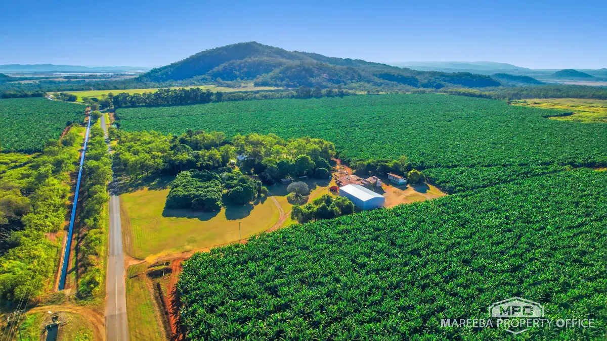 1597 Chewko Road, Walkamin, QLD, Walkamin - Image 1