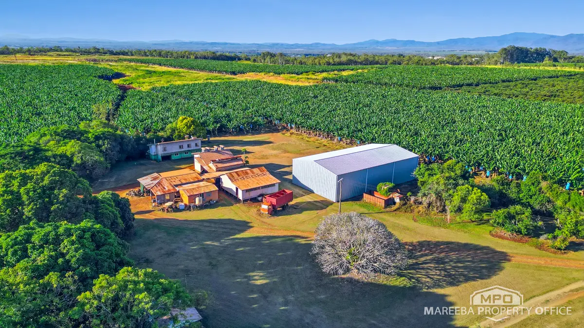 1597 Chewko Road, Walkamin, QLD, Walkamin - Thumbnail 6