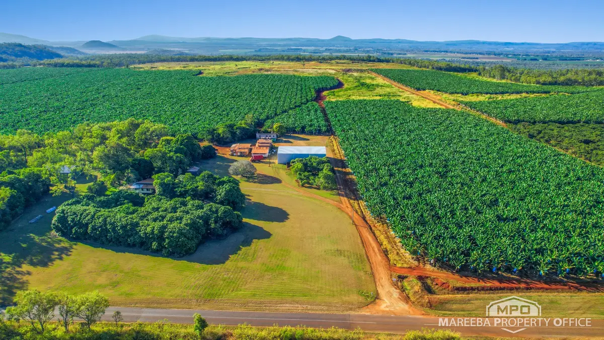 1597 Chewko Road, Walkamin, QLD, Walkamin - Thumbnail 7