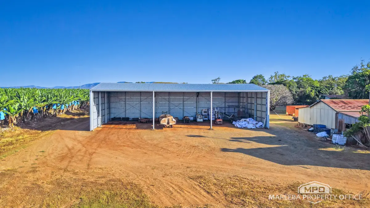 1597 Chewko Road, Walkamin, QLD, Walkamin - Thumbnail 8