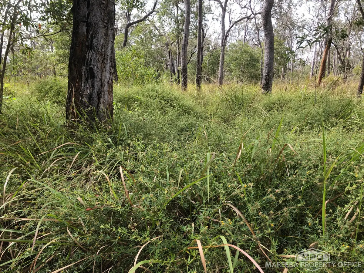 Lot 154 / 764 Hodzic Road, Biboohra, QLD, Biboohra - Image 1
