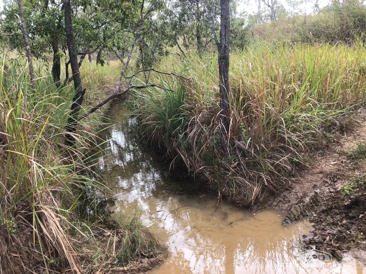 Lot 154 / 764 Hodzic Road, Biboohra, QLD, Biboohra - Thumbnail 2