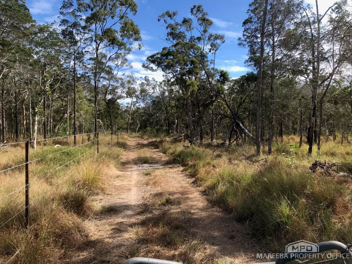 Lot 154 / 764 Hodzic Road, Biboohra, QLD, Biboohra - Thumbnail 4