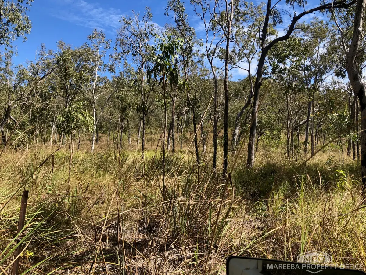 Lot 154 / 764 Hodzic Road, Biboohra, QLD, Biboohra - Thumbnail 5