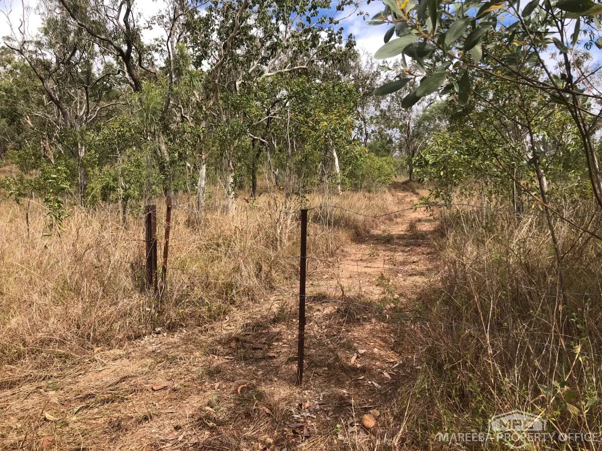 Lot 154 / 764 Hodzic Road, Biboohra, QLD, Biboohra - Thumbnail 8
