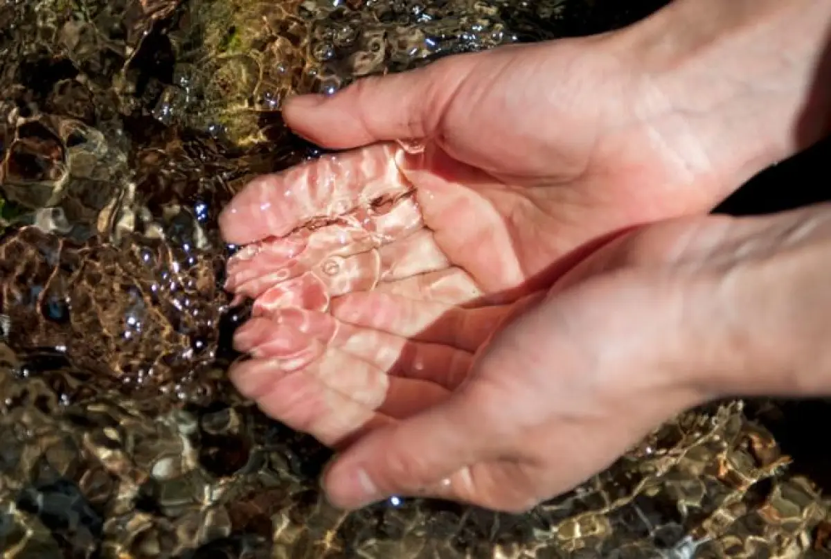 20ML Water Allocation, Mareeba, QLD, Mareeba - Thumbnail 4