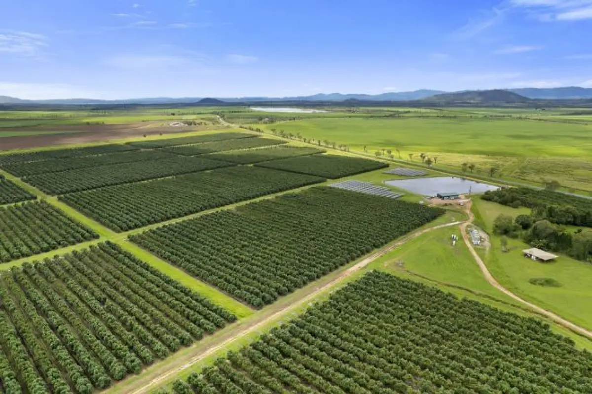 20ML Water Allocation, Mareeba, QLD, Mareeba - Thumbnail 5