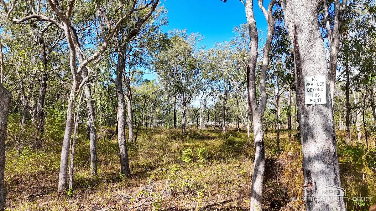 5 Brodziac Close, Mareeba, QLD, Mareeba - Thumbnail 6