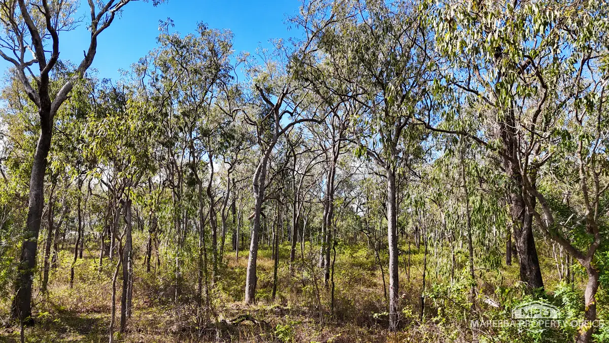 5 Brodziac Close, Mareeba, QLD, Mareeba - Thumbnail 7