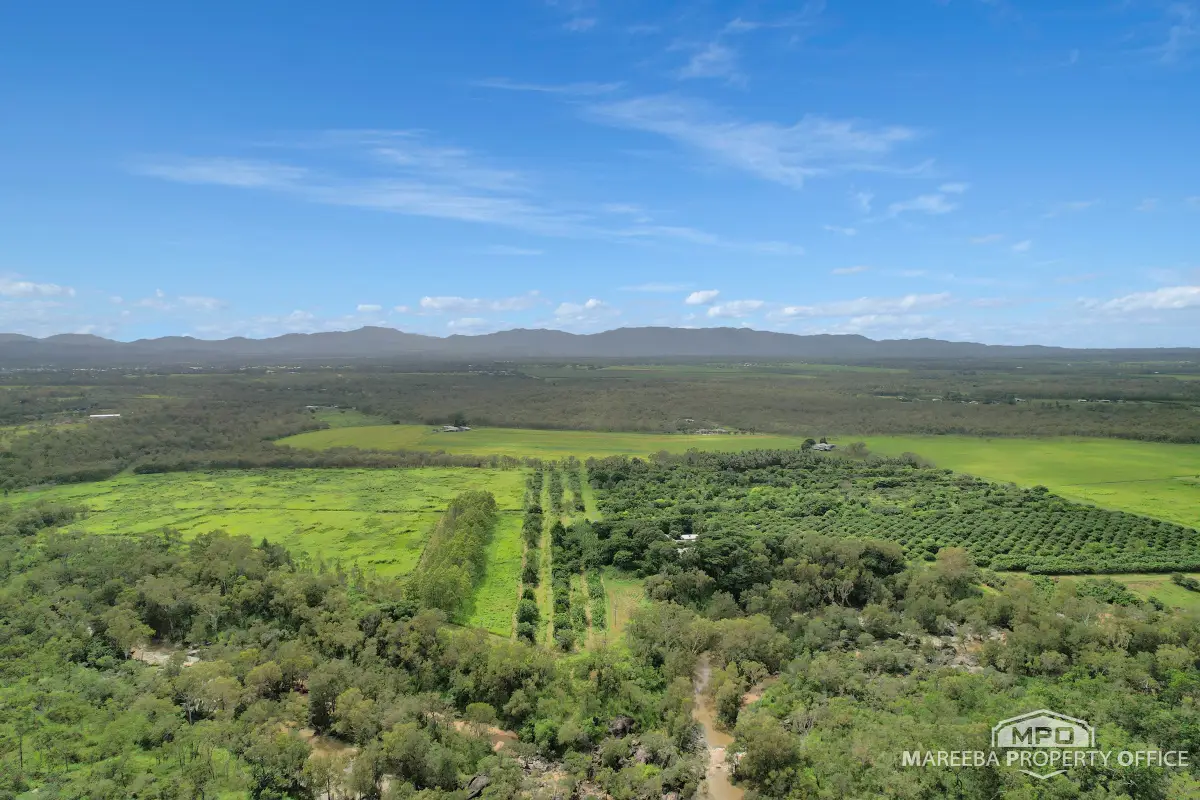 346 Roiko Road, Mareeba, QLD, Mareeba - Image 1