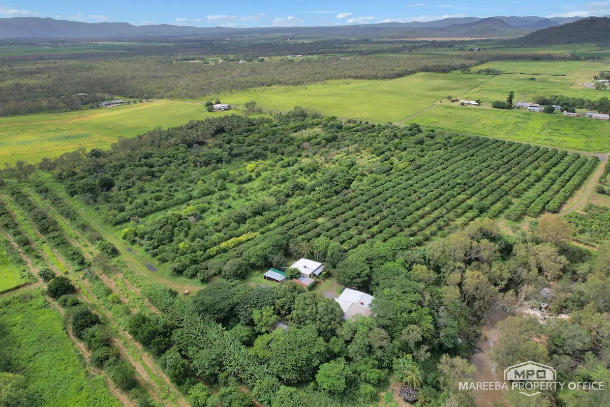 346 Roiko Road, Mareeba, QLD, Mareeba - Thumbnail 5