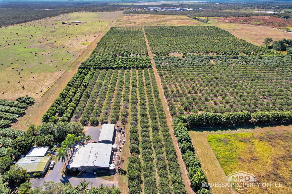 526 Mareeba-Dimbulah Road, Mareeba, QLD, Mareeba - Image 1