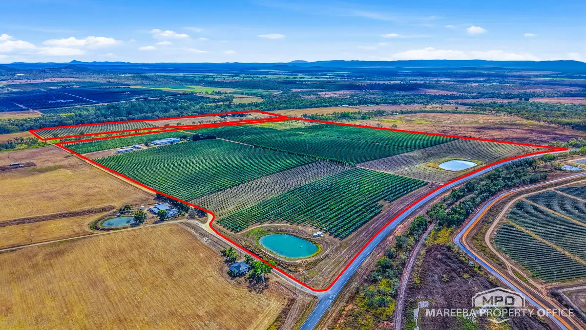 66027 & 66029 Burke Developmental Road & 302 Wolfram Road, Dimbulah, QLD, Dimbulah - Image 1