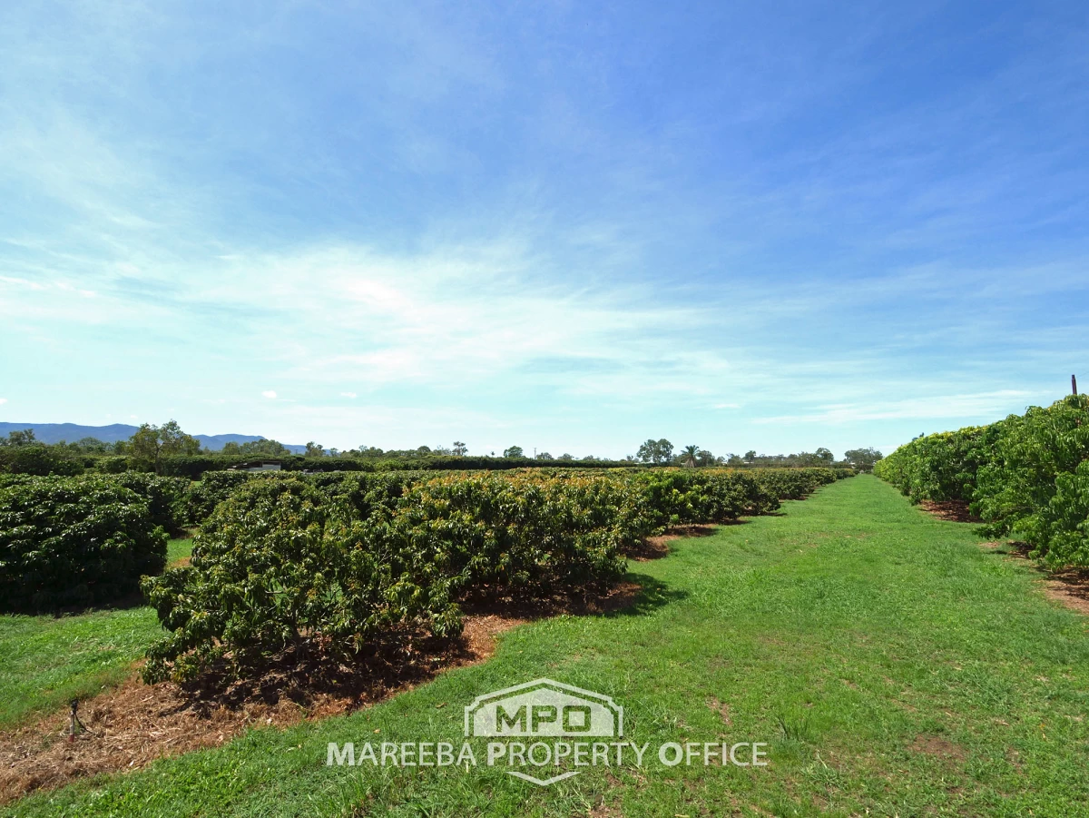 209 Malone Road, Mareeba, QLD, Mareeba - Thumbnail 8
