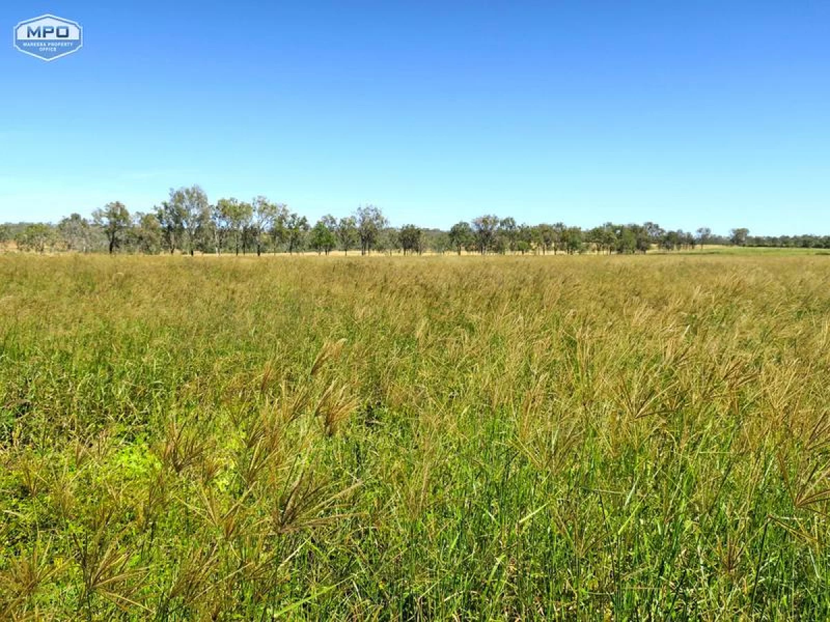 141 Martin Road, Mareeba, QLD, Mareeba - Thumbnail 4