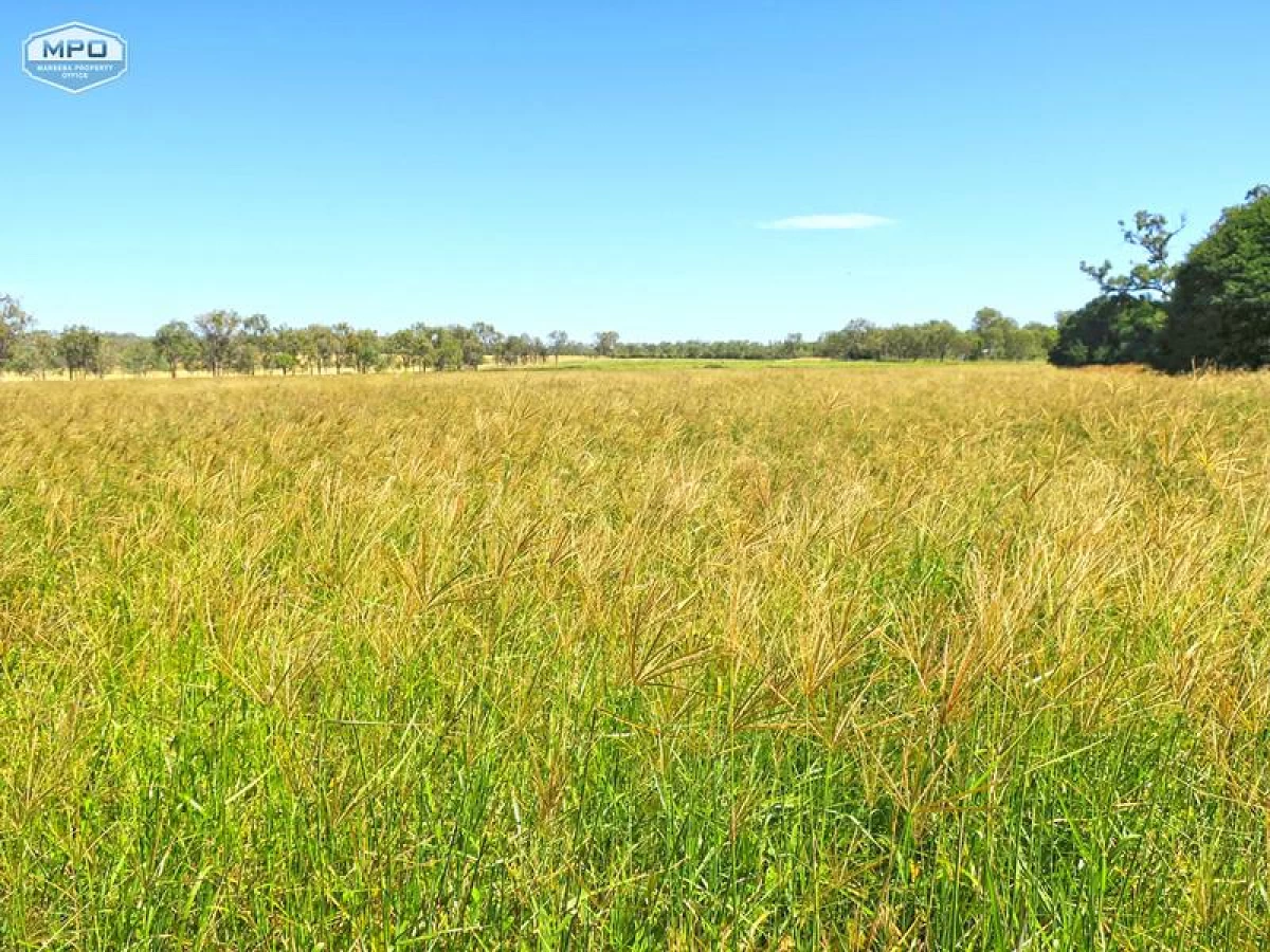 141 Martin Road, Mareeba, QLD, Mareeba - Thumbnail 5