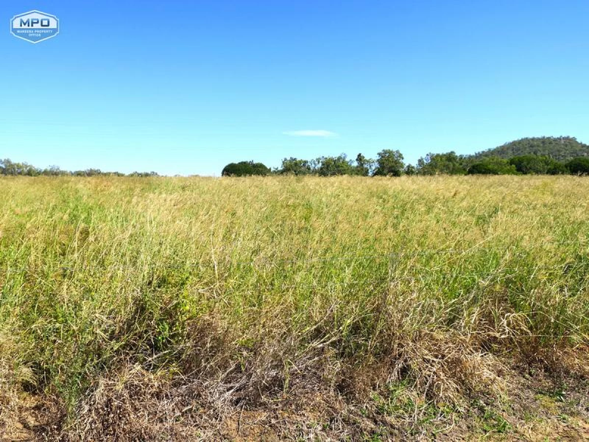 141 Martin Road, Mareeba, QLD, Mareeba - Thumbnail 6