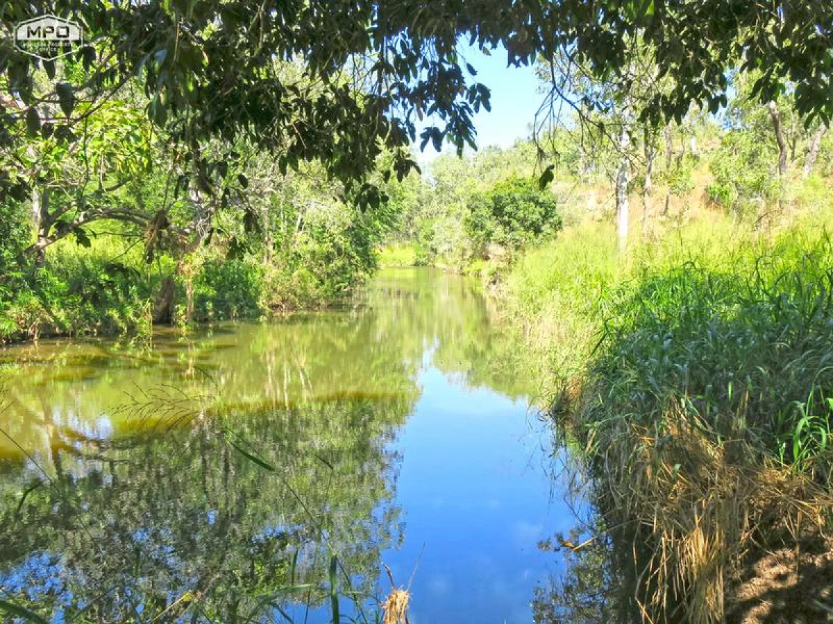 141 Martin Road, Mareeba, QLD, Mareeba - Thumbnail 7