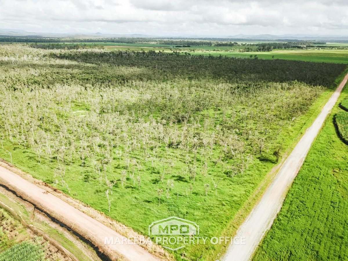 157 Peters Road, Mareeba, QLD, Mareeba - Thumbnail 4