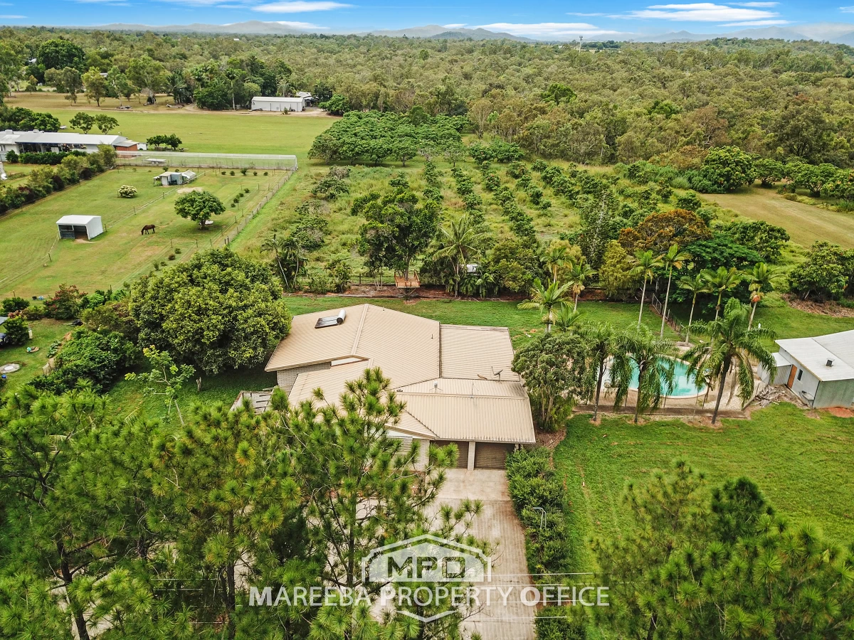 106 McGrath Road, Mareeba, QLD, Mareeba - Thumbnail 7