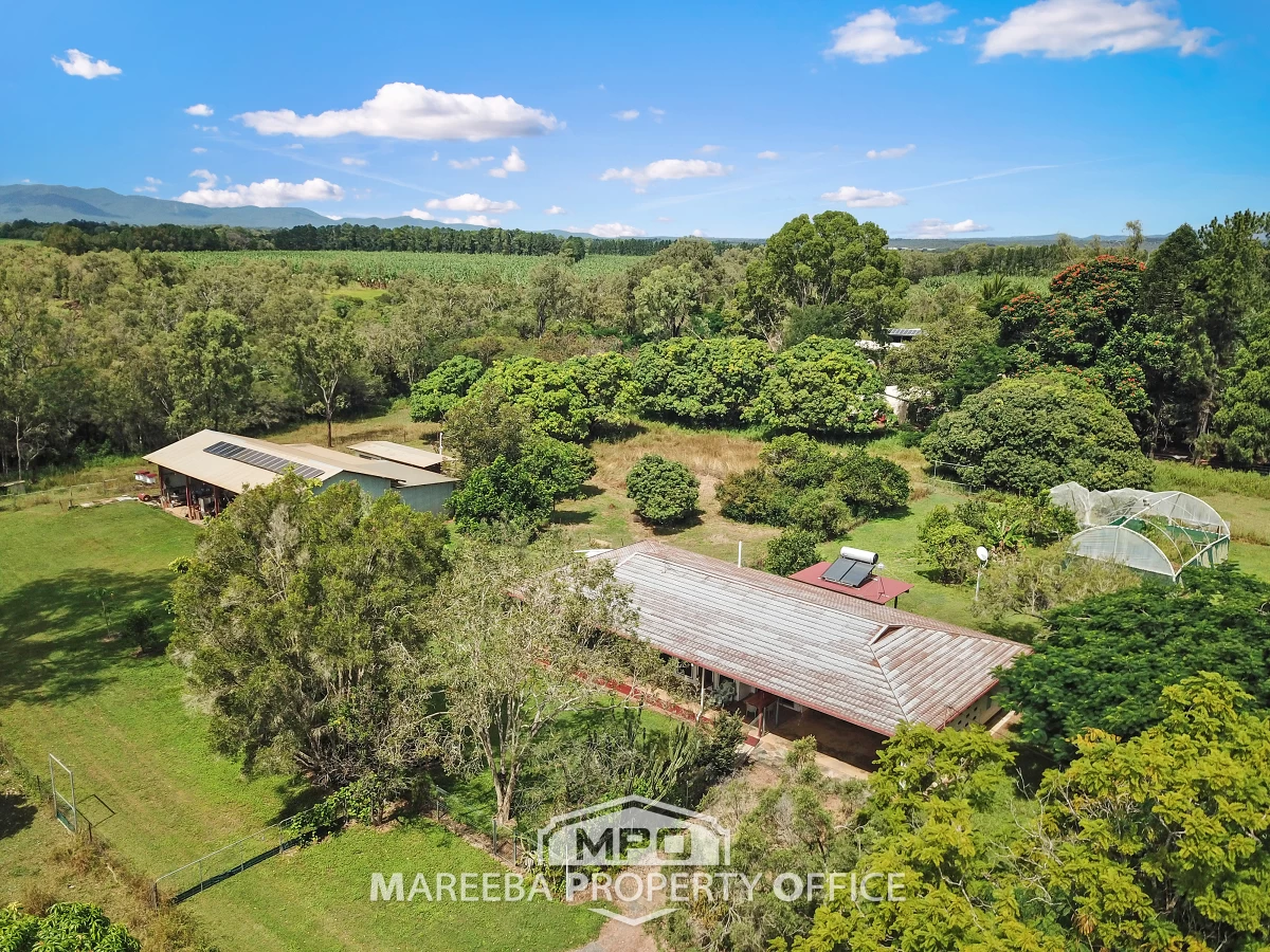 17 Slape Road, Mareeba, QLD, Mareeba - Thumbnail 2