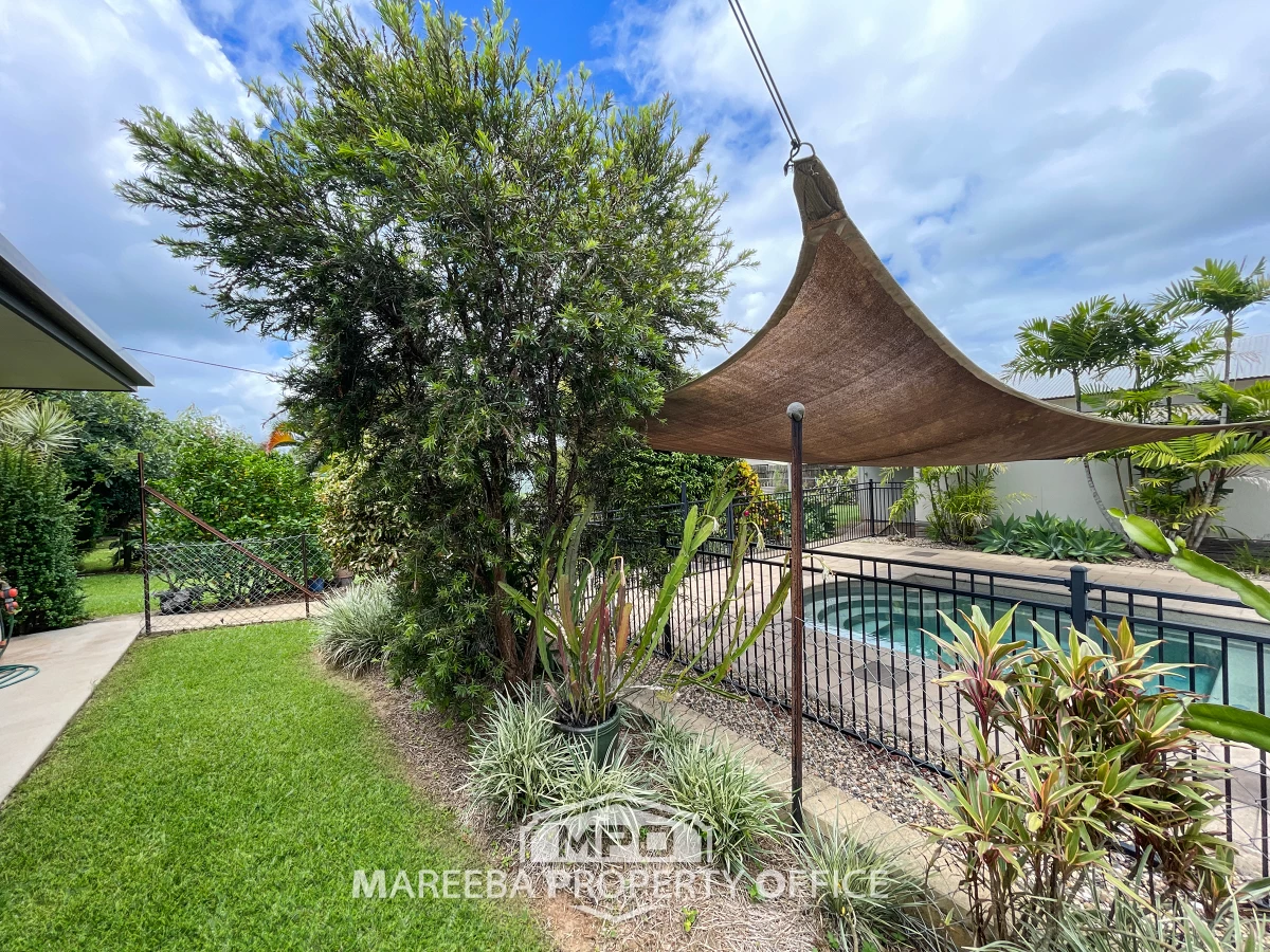 19 Iluka Street, Mareeba, QLD, Mareeba - Thumbnail 7