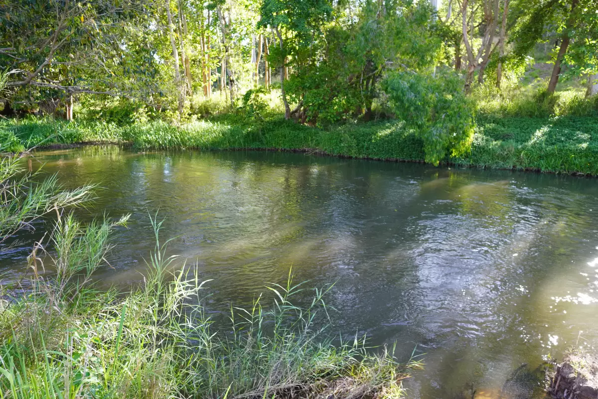 2 Hastie Road, Mareeba, QLD, Mareeba - Thumbnail 3