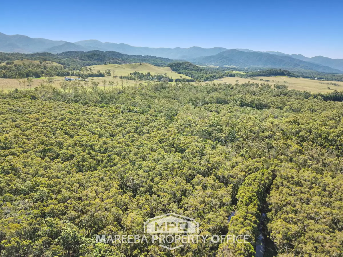 2 Euluma Creek Road, Julatten, QLD, Julatten - Thumbnail 2