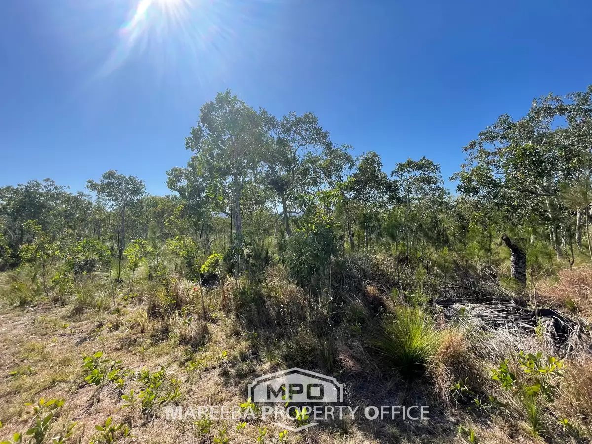 2 Euluma Creek Road, Julatten, QLD, Julatten - Thumbnail 4